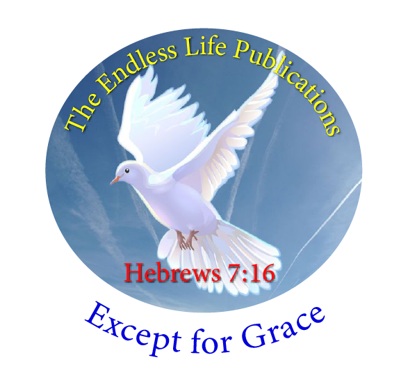 logotipas 2 Biblijos studijos įspėjimas apie vertimą
